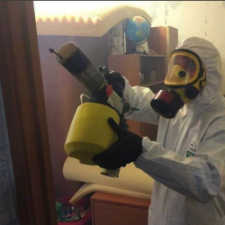 Уничтожение клопов в квартире. Усинск